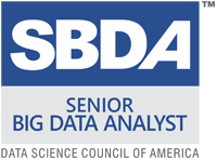 senior big data analyst